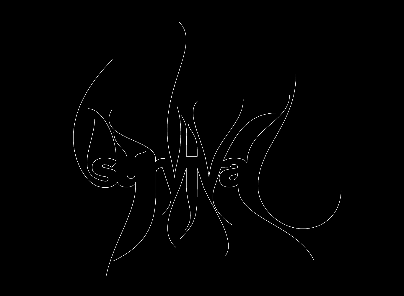 typography, lettering, logotype, graphics, logo, branding, visual identity, graphic design, willpower vision