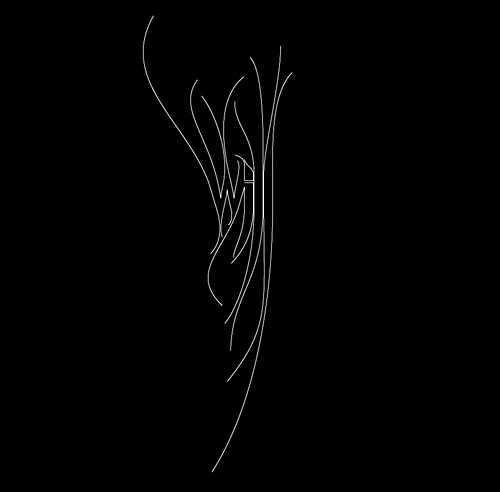 typography, lettering, logotype, graphics, logo, branding, visual identity, graphic design, willpower vision