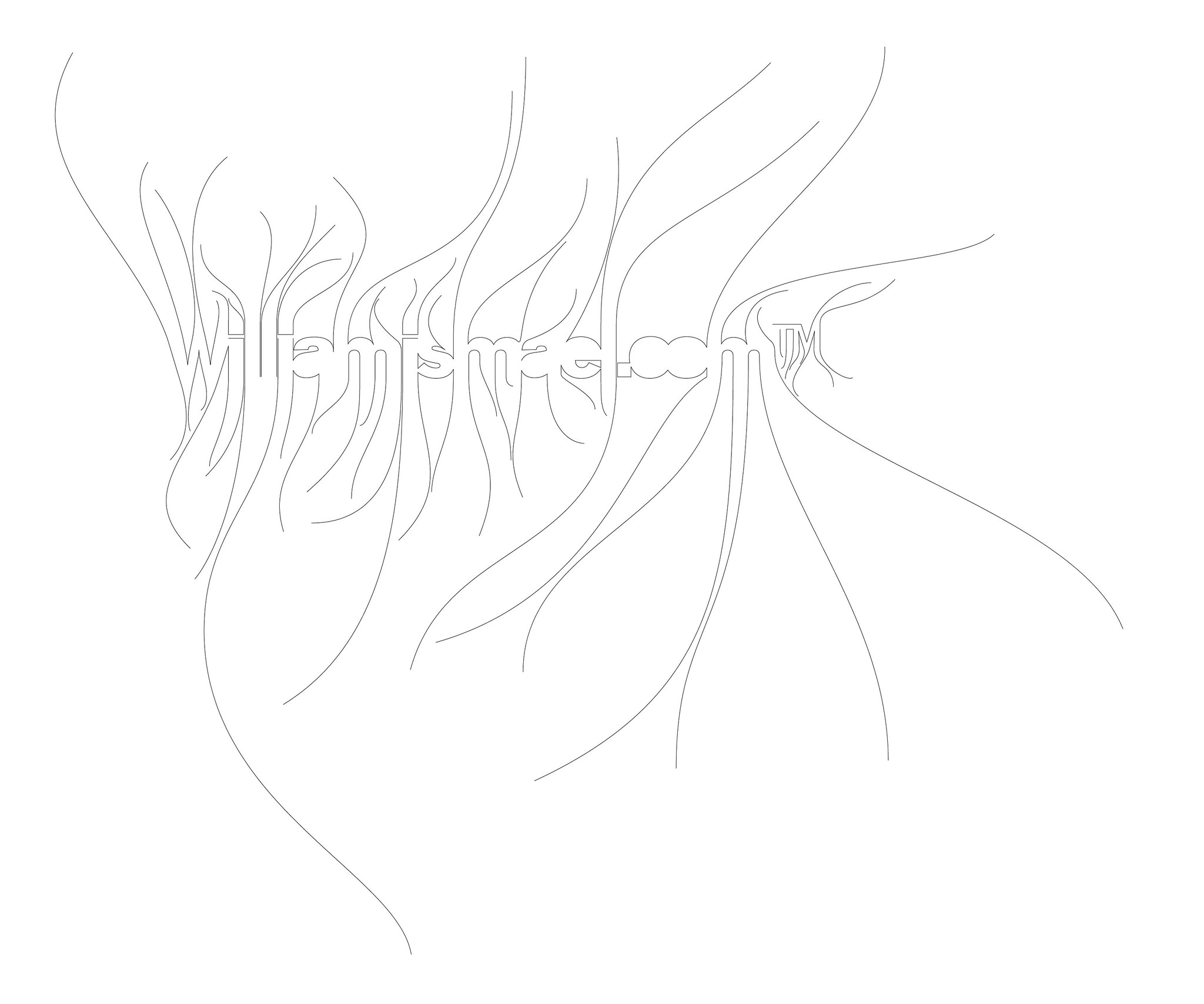 typography, lettering, logotype, graphics, logo, branding, visual identity, graphic design, willpower vision
