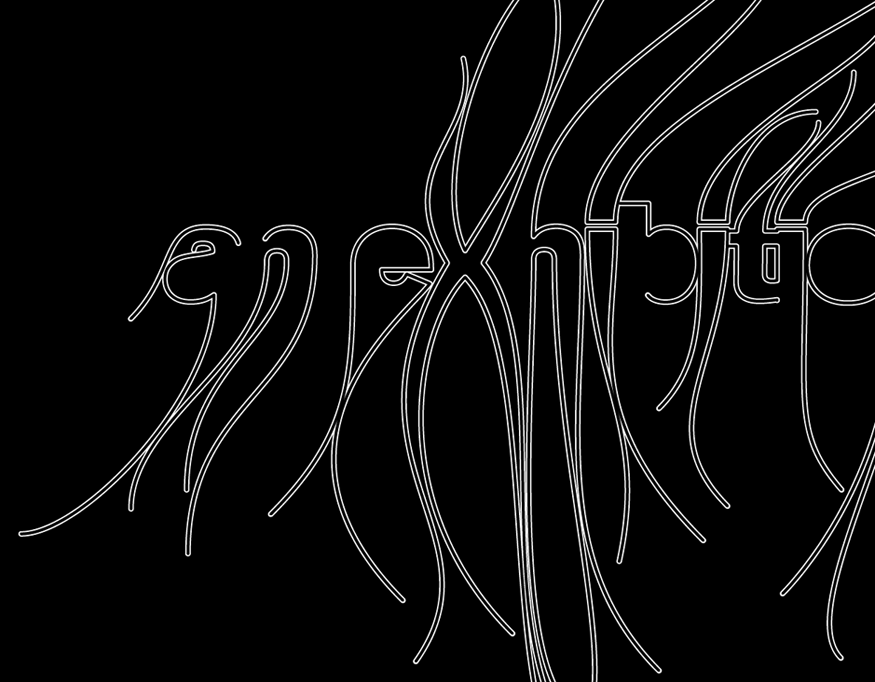 typography, lettering, logotype, graphics, logo, branding, visual identity, graphic design, willpower vision