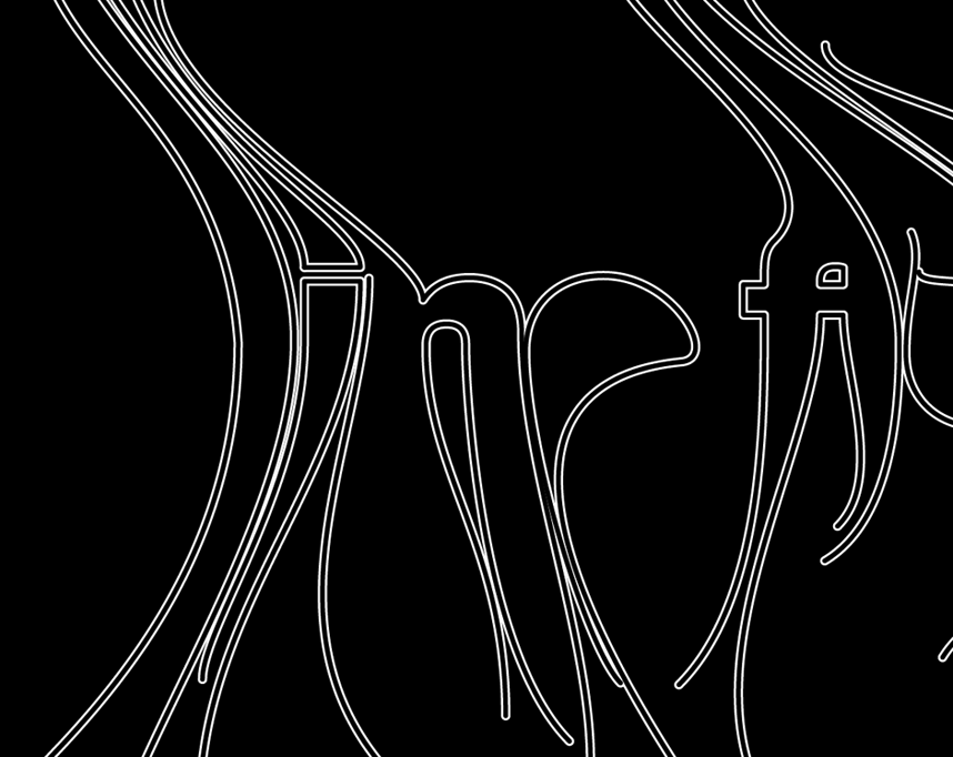 typography, lettering, logotype, graphics, logo, branding, visual identity, graphic design, willpower vision