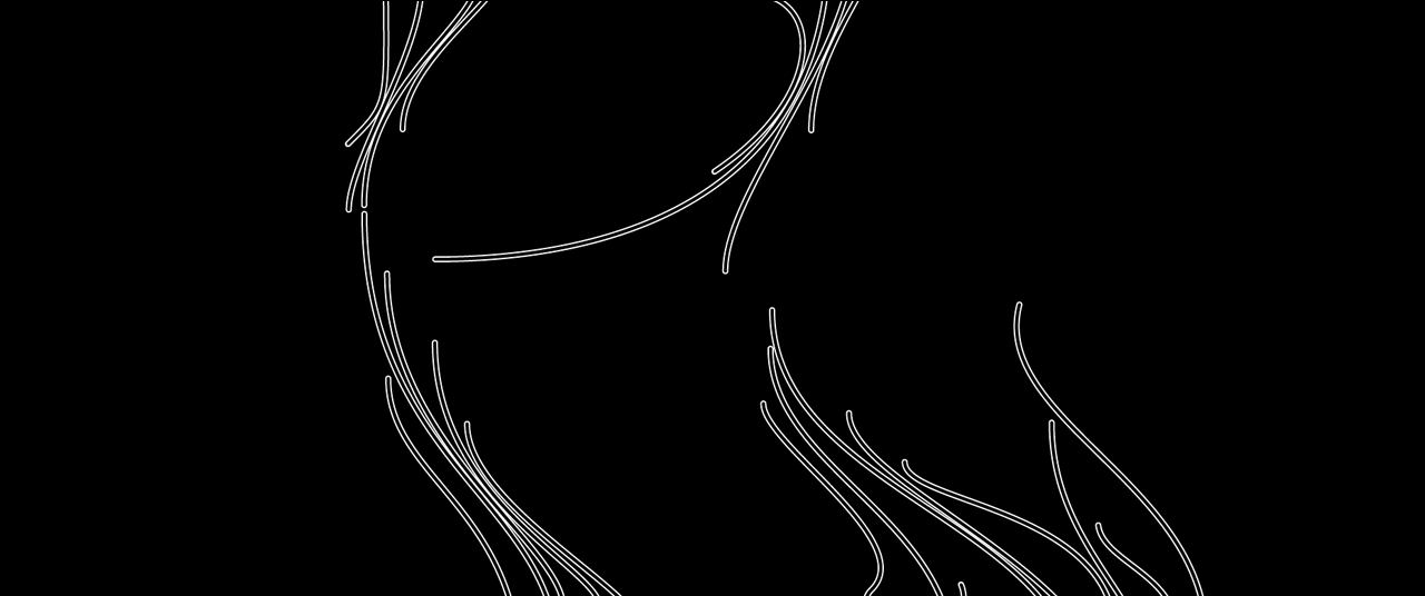 typography, lettering, logotype, graphics, logo, branding, visual identity, graphic design, willpower vision