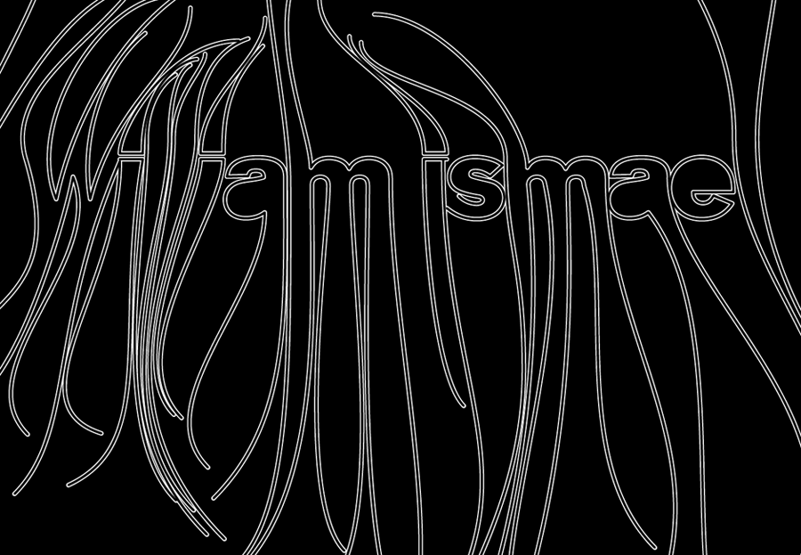 typography, lettering, logotype, graphics, logo, branding, visual identity, graphic design, willpower vision